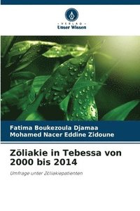 bokomslag Zliakie in Tebessa von 2000 bis 2014