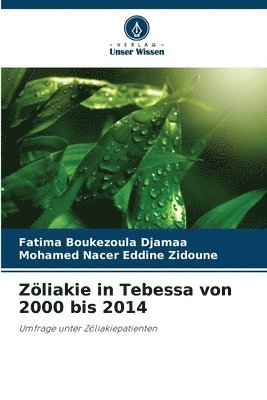 Zliakie in Tebessa von 2000 bis 2014 1