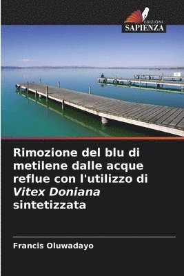 Rimozione del blu di metilene dalle acque reflue con l'utilizzo di Vitex Doniana sintetizzata 1