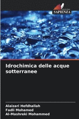 bokomslag Idrochimica delle acque sotterranee