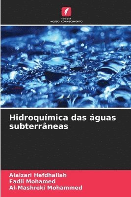 bokomslag Hidroqumica das guas subterrneas