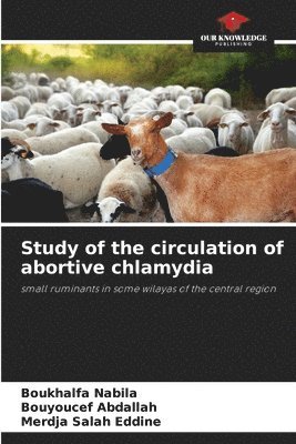 Study of the circulation of abortive chlamydia 1