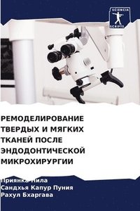 bokomslag &#1056;&#1045;&#1052;&#1054;&#1044;&#1045;&#1051;&#1048;&#1056;&#1054;&#1042;&#1040;&#1053;&#1048;&#1045; &#1058;&#1042;&#1045;&#1056;&#1044;&#1067;&#1061; &#1048;