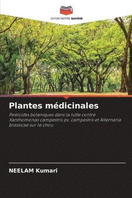 bokomslag Plantes mdicinales
