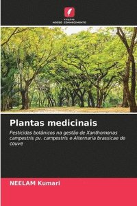 bokomslag Plantas medicinais
