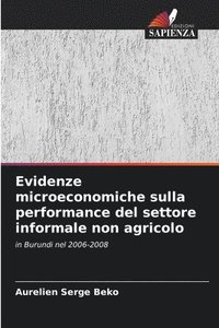 bokomslag Evidenze microeconomiche sulla performance del settore informale non agricolo