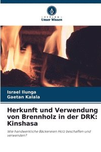 bokomslag Herkunft und Verwendung von Brennholz in der DRK