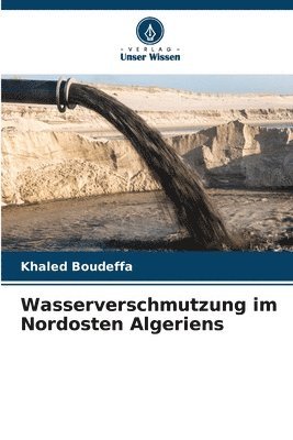 bokomslag Wasserverschmutzung im Nordosten Algeriens
