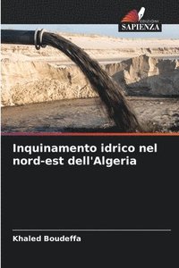 bokomslag Inquinamento idrico nel nord-est dell'Algeria