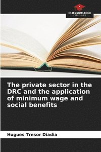bokomslag The private sector in the DRC and the application of minimum wage and social benefits