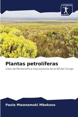 Plantas petrolferas 1