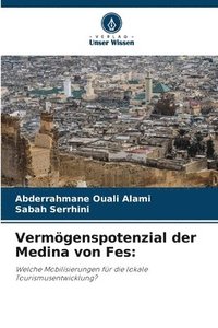 bokomslag Vermgenspotenzial der Medina von Fes