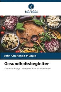 bokomslag Gesundheitsbegleiter