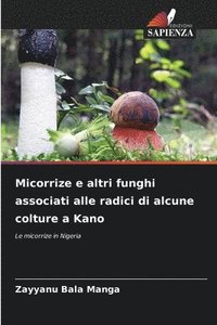 bokomslag Micorrize e altri funghi associati alle radici di alcune colture a Kano