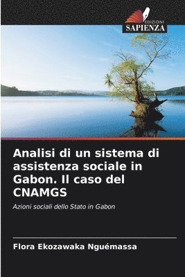 bokomslag Analisi di un sistema di assistenza sociale in Gabon. Il caso del CNAMGS