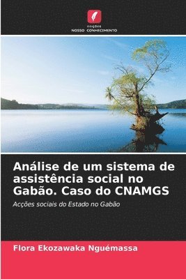 Anlise de um sistema de assistncia social no Gabo. Caso do CNAMGS 1