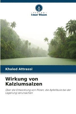 bokomslag Wirkung von Kalziumsalzen