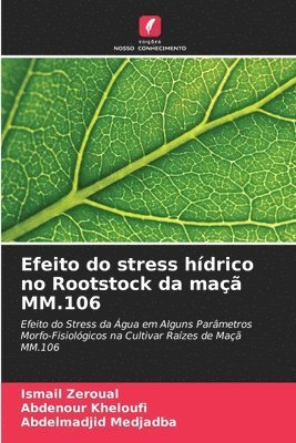 Efeito do stress hdrico no Rootstock da ma MM.106 1