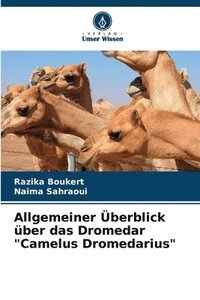 bokomslag Allgemeiner berblick ber das Dromedar &quot;Camelus Dromedarius&quot;
