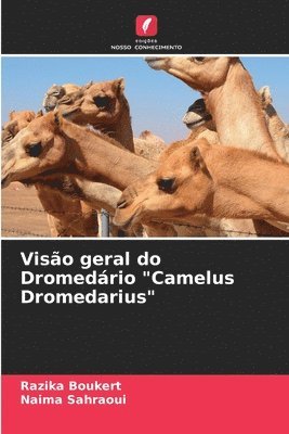 Viso geral do Dromedrio &quot;Camelus Dromedarius&quot; 1