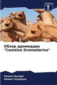 bokomslag &#1054;&#1073;&#1079;&#1086;&#1088; &#1076;&#1088;&#1086;&#1084;&#1077;&#1076;&#1072;&#1088;&#1072; &quot;Camelus Dromedarius&quot;