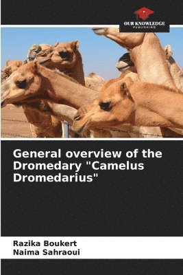General overview of the Dromedary &quot;Camelus Dromedarius&quot; 1