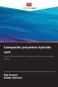 bokomslag Composite polymre hybride vert