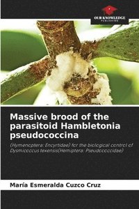 bokomslag Massive brood of the parasitoid Hambletonia pseudococcina