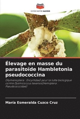 levage en masse du parasitode Hambletonia pseudococcina 1