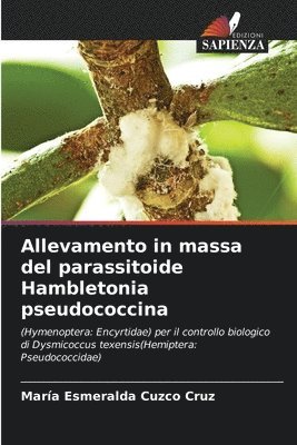 Allevamento in massa del parassitoide Hambletonia pseudococcina 1