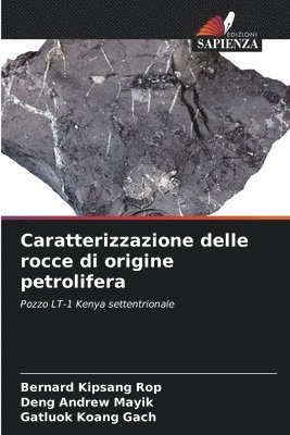 bokomslag Caratterizzazione delle rocce di origine petrolifera