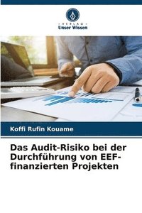 bokomslag Das Audit-Risiko bei der Durchfhrung von EEF-finanzierten Projekten