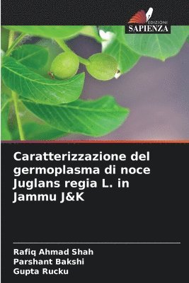 Caratterizzazione del germoplasma di noce Juglans regia L. in Jammu J&K 1