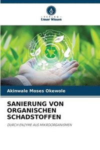 bokomslag Sanierung Von Organischen Schadstoffen