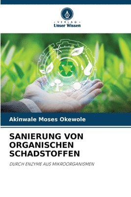 Sanierung Von Organischen Schadstoffen 1