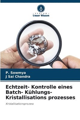 bokomslag Echtzeit- Kontrolle eines Batch- Khlungs- Kristallisations prozesses