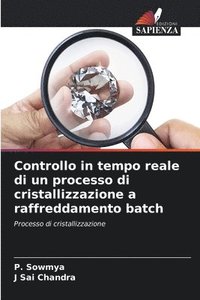 bokomslag Controllo in tempo reale di un processo di cristallizzazione a raffreddamento batch