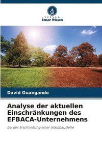 bokomslag Analyse der aktuellen Einschrnkungen des EFBACA-Unternehmens