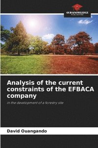 bokomslag Analysis of the current constraints of the EFBACA company