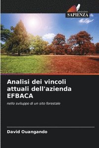 bokomslag Analisi dei vincoli attuali dell'azienda EFBACA