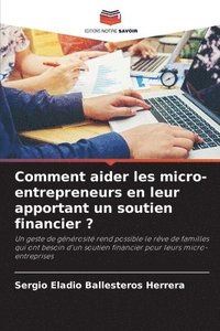 bokomslag Comment aider les micro-entrepreneurs en leur apportant un soutien financier ?