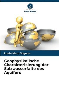 bokomslag Geophysikalische Charakterisierung der Salzwasserfalte des Aquifers