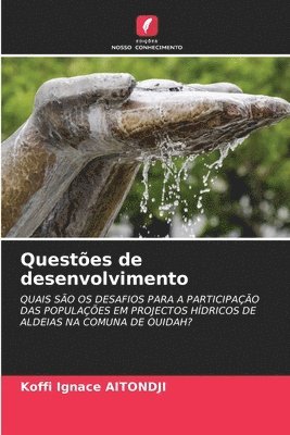 bokomslag Questes de desenvolvimento