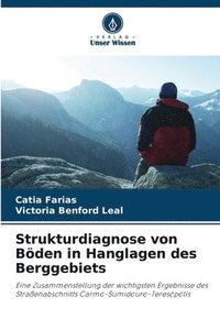 bokomslag Strukturdiagnose von Bden in Hanglagen des Berggebiets
