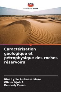 bokomslag Caractrisation gologique et ptrophysique des roches rservoirs