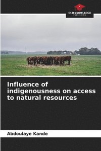 bokomslag Influence of indigenousness on access to natural resources