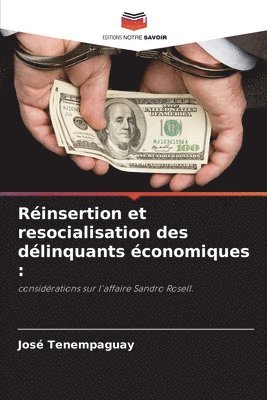 bokomslag Rinsertion et resocialisation des dlinquants conomiques