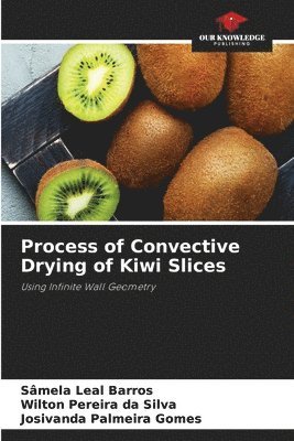 Process of Convective Drying of Kiwi Slices 1