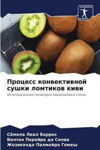 bokomslag &#1055;&#1088;&#1086;&#1094;&#1077;&#1089;&#1089; &#1082;&#1086;&#1085;&#1074;&#1077;&#1082;&#1090;&#1080;&#1074;&#1085;&#1086;&#1081; &#1089;&#1091;&#1096;&#1082;&#1080;