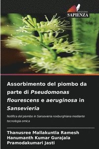 bokomslag Assorbimento del piombo da parte di Pseudomonas flourescens e aeruginosa in Sansevieria